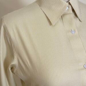 ivory fine stripe button down shirt for women